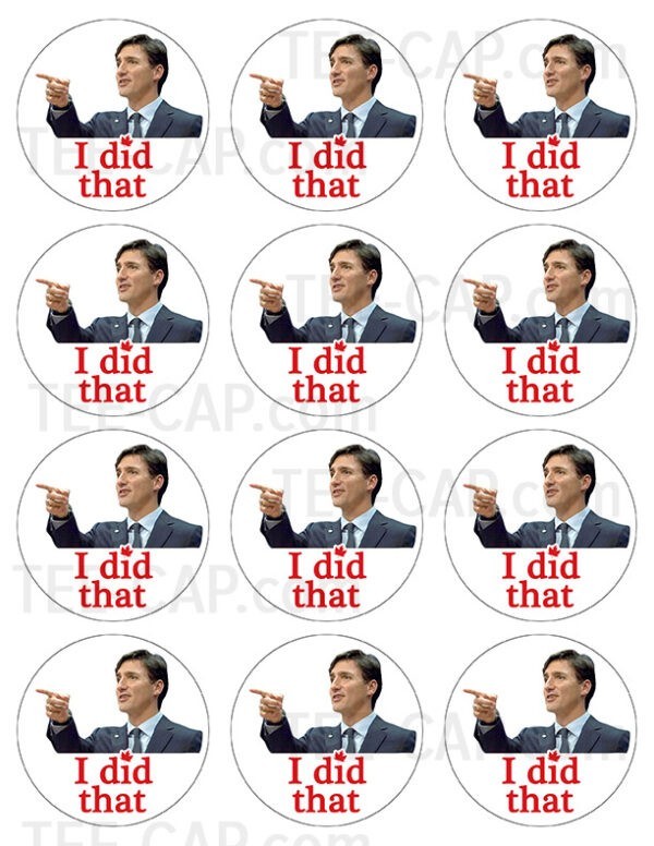 Sample print sheet of Trudeau's I Did That vinyl stickers